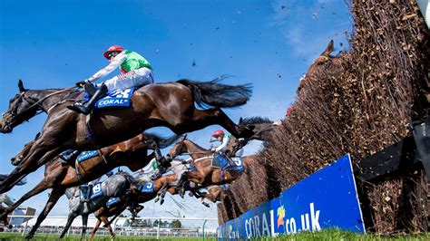 Pinstickers' guide to Grand National 2018 runners .